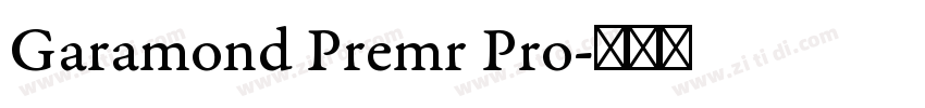 Garamond Premr Pro字体转换